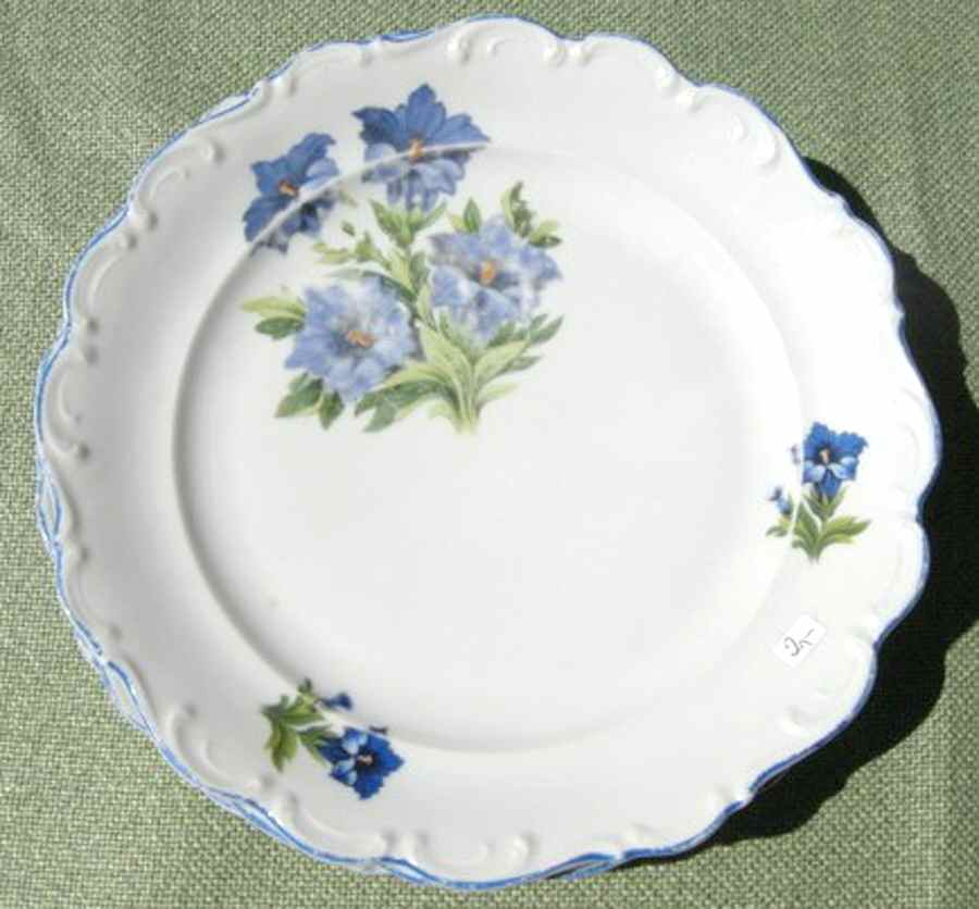 SCH562 Salad Plate by Schumann - Bavaria-1