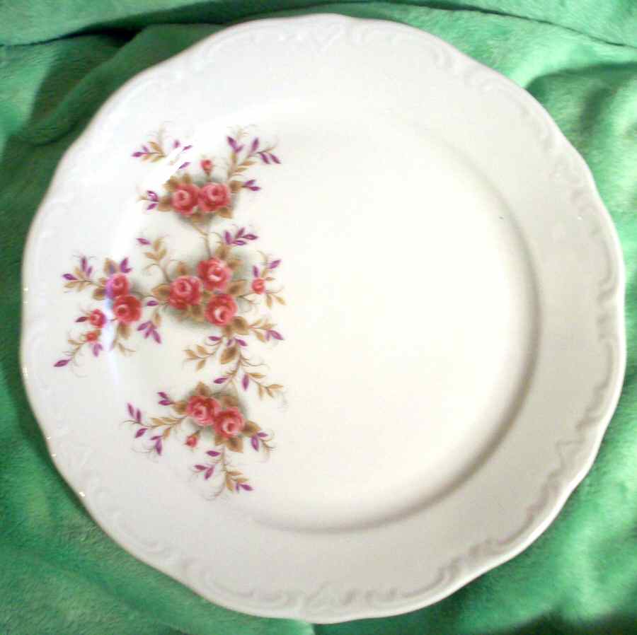 SCG74 Salad Plate by Schirnding-1