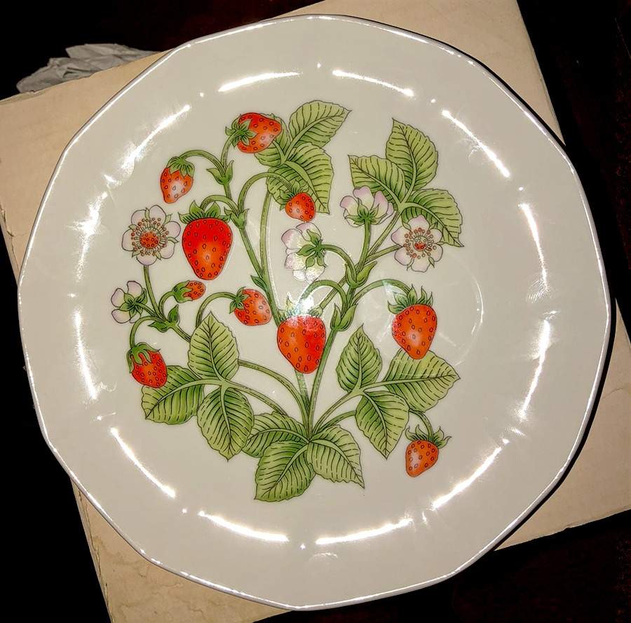 Strawberry Patch Snack Plate by Shafford-1