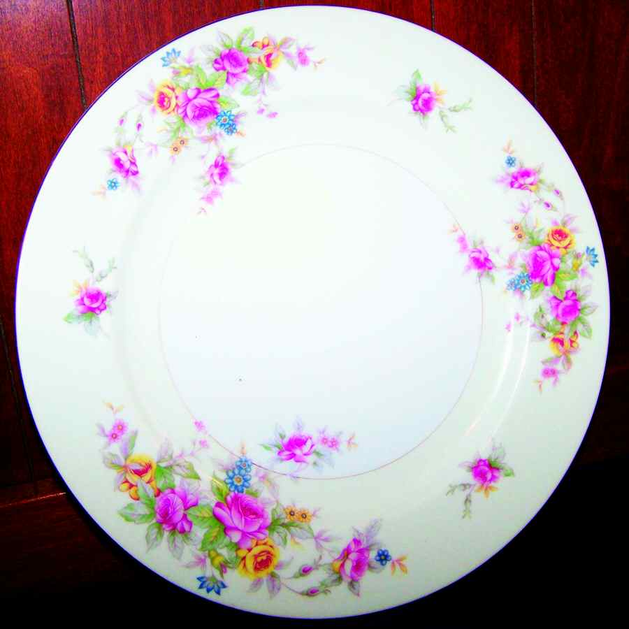 SUJ5 Dinner Plate by Supreme (Japan)-1