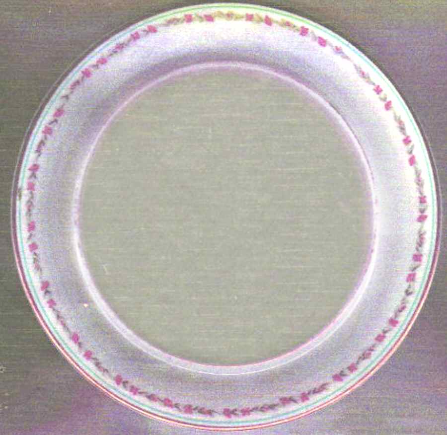 SY885 Dinner Plate by Syracuse-1
