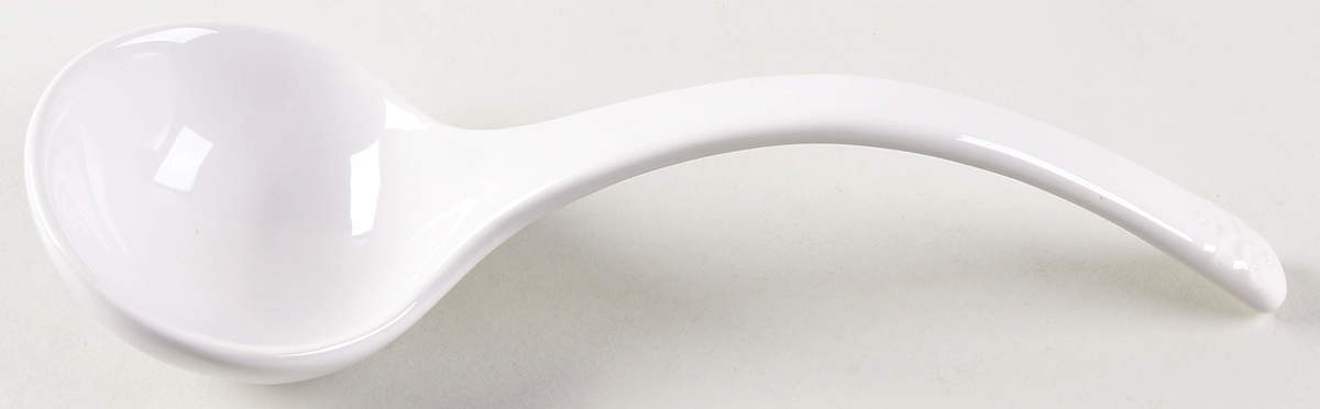 Gallery Collection White Tureen Ladle by Southern Living-1