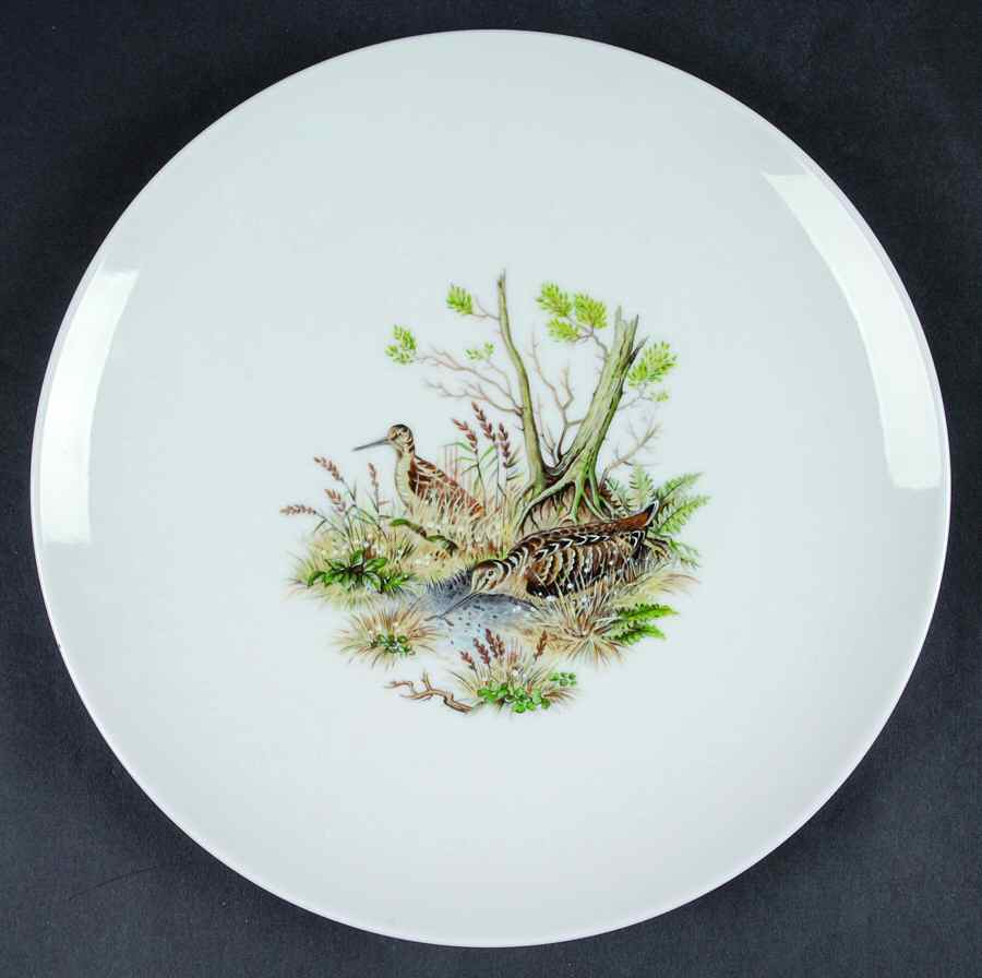 SCH569 Dinner Plate by Schumann - Bavaria-1