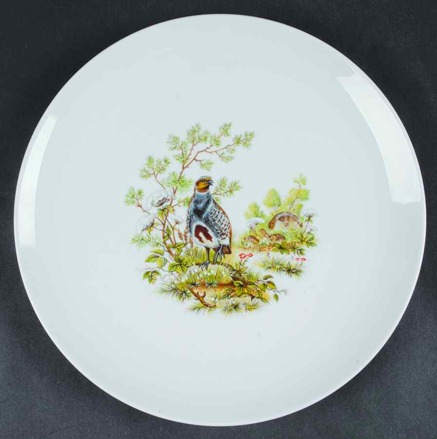 SCH569 Dinner Plate by Schumann - Bavaria-1