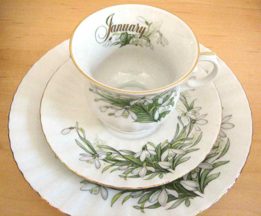 Flower of the Month Footed Cup & Saucer Set by Seltmann-1