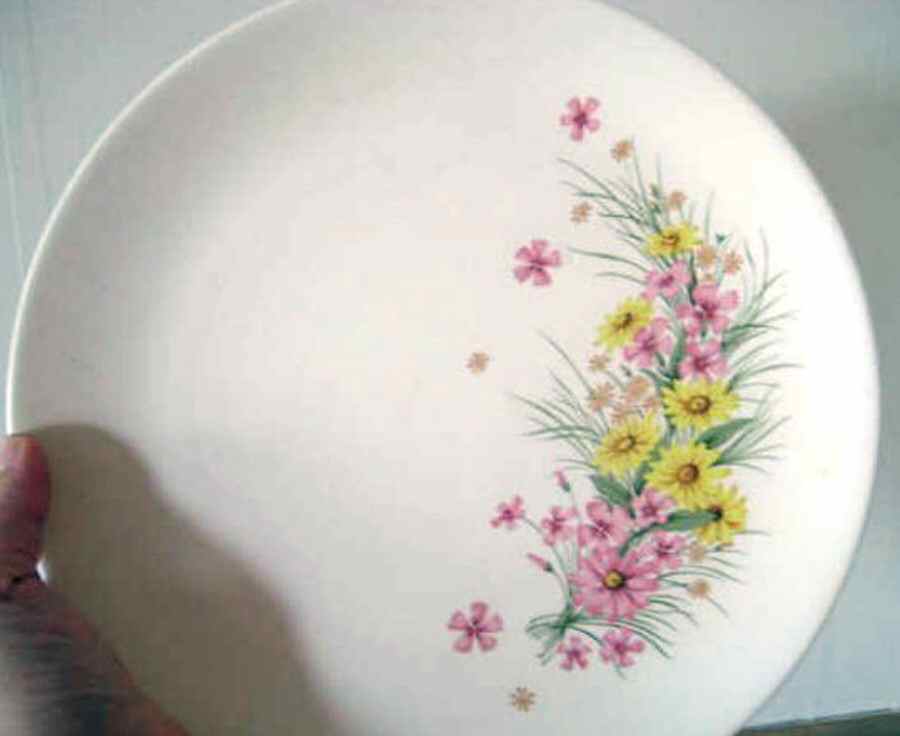 STB341 Dinner Plate by Steubenville-1