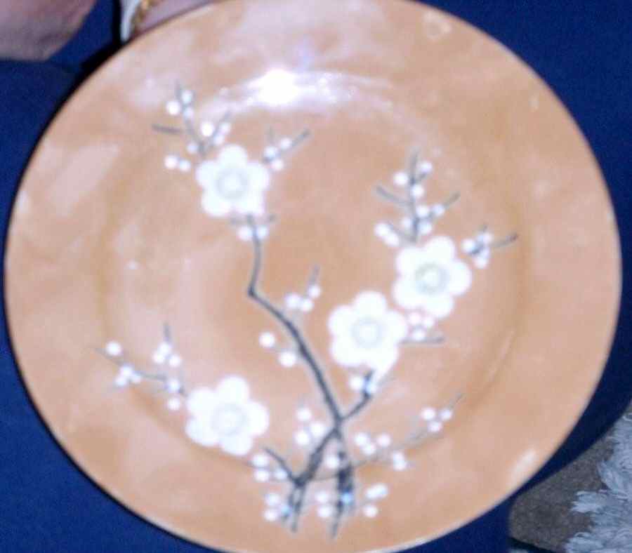 SZK3 Dinner Plate by Shimizu Rokunosuko-1