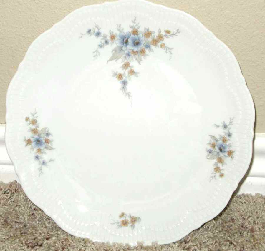 SCG77 Dinner Plate by Schirnding-1
