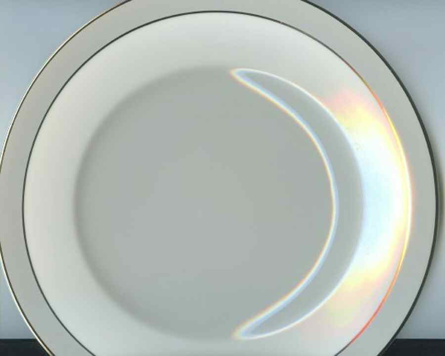 SY896 Dinner Plate by Syracuse-1