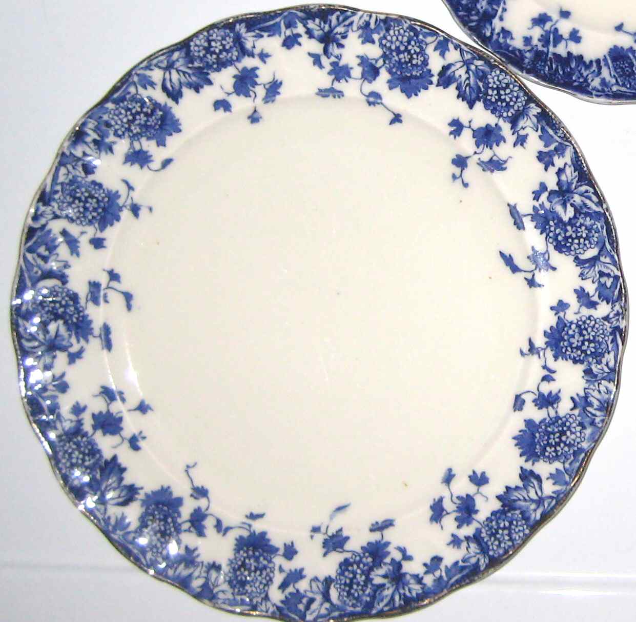 SAW10 Luncheon Plate by Sampson Bridgwood-1