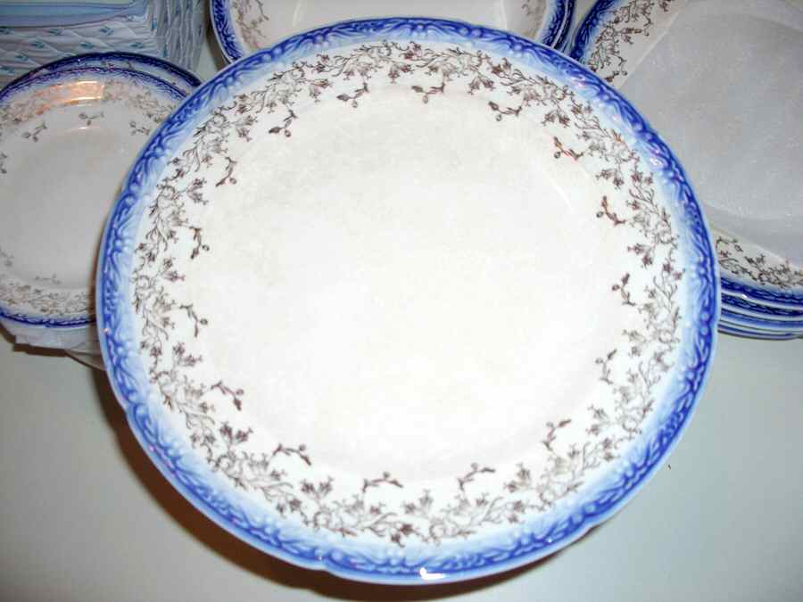 SLM341 Dinner Plate by Salem-1