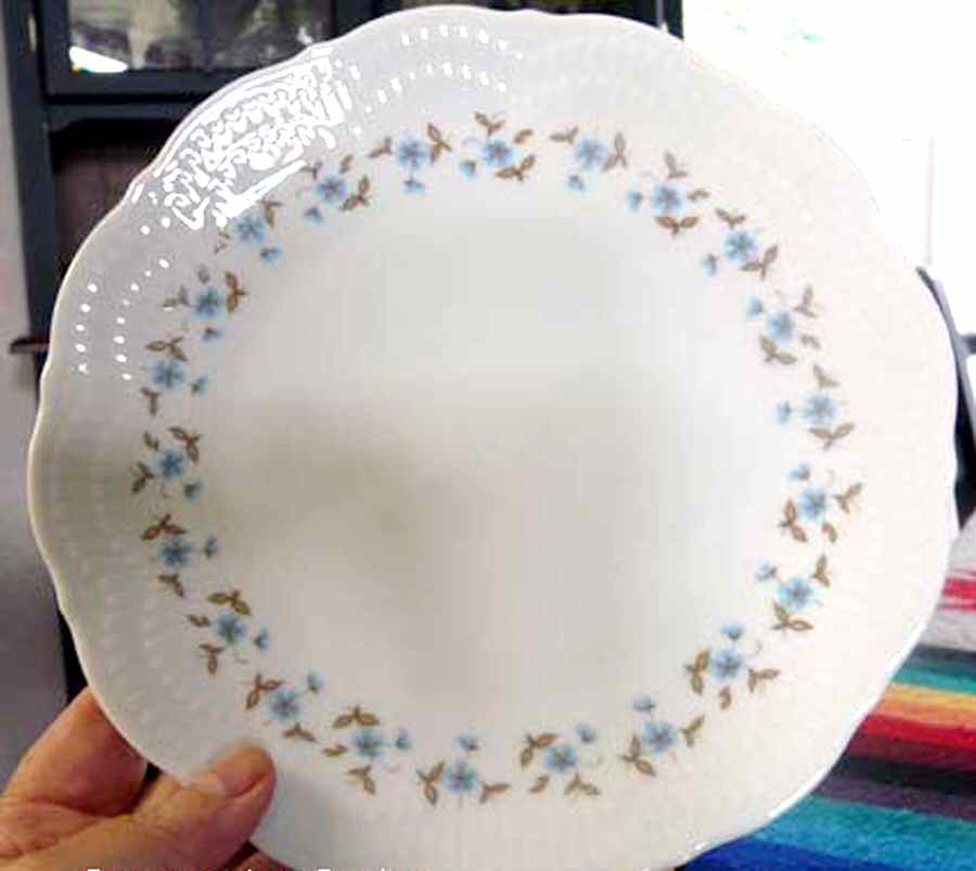 SCG78 Salad Plate by Schirnding-1