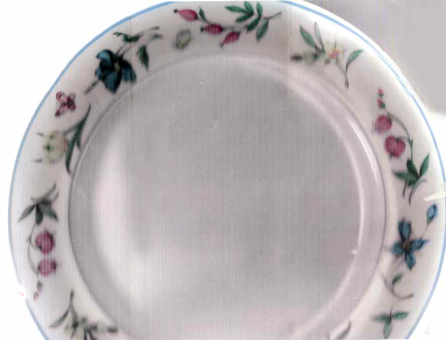 SOB9 Dinner Plate by Sophienthal Bayreuth-1
