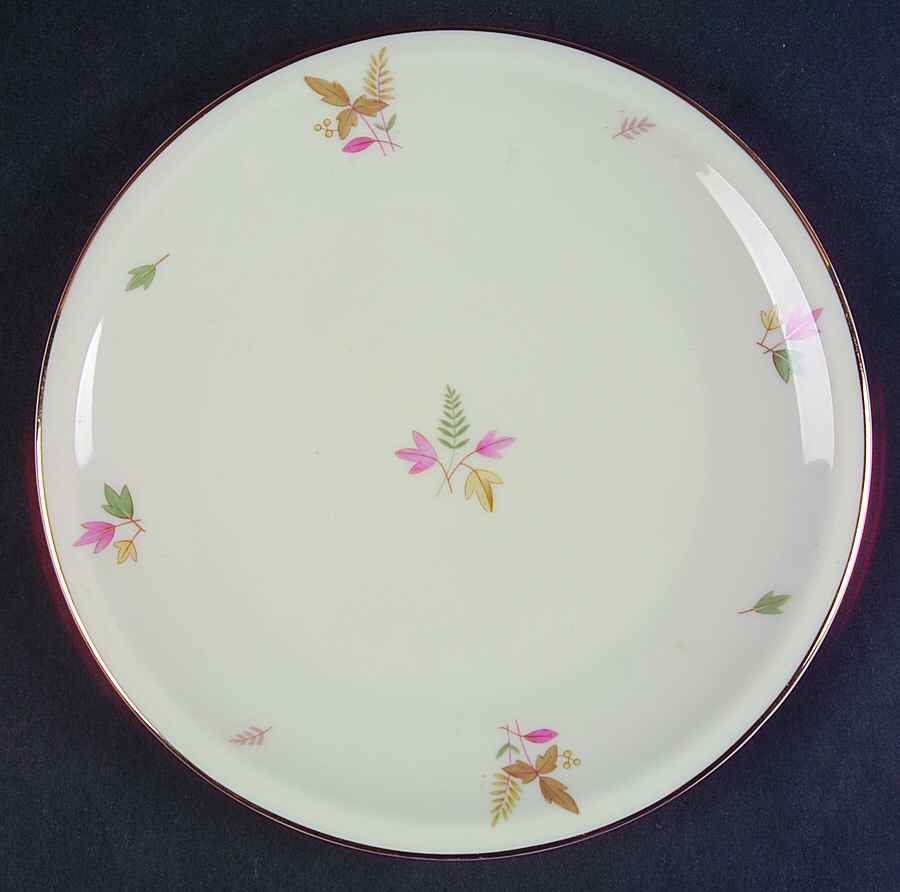 SCG79 Salad Plate by Schirnding-1