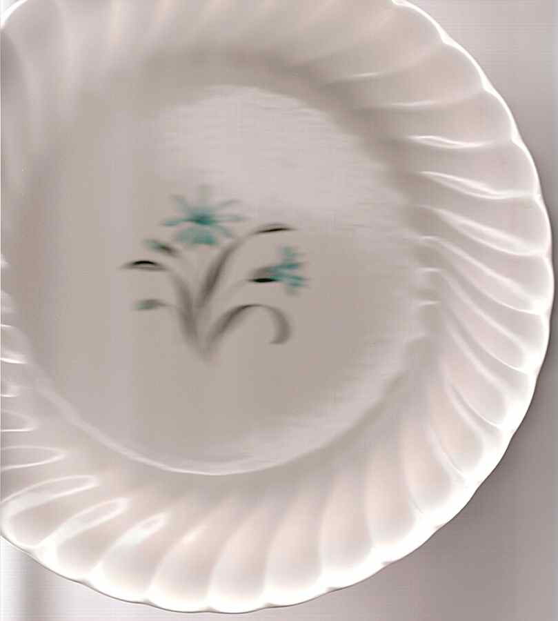 SLM342 Dinner Plate by Salem-1