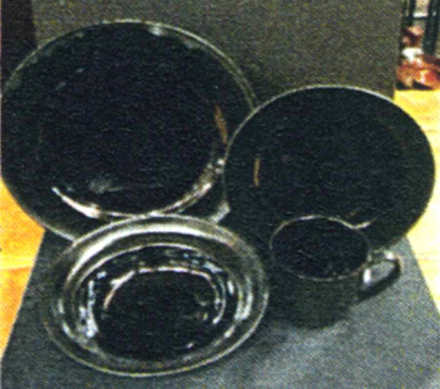 Indigo Black Dinner Plate by Sabatier-1