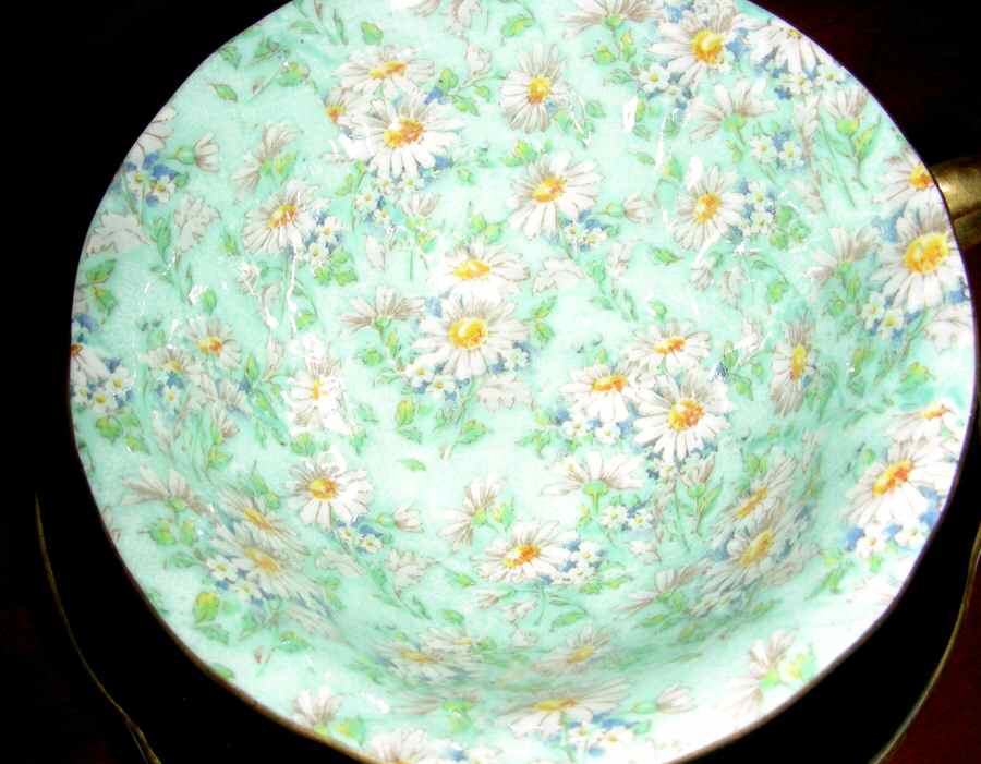 Marguerite (Oleander) Footed Cup by Shelley-1
