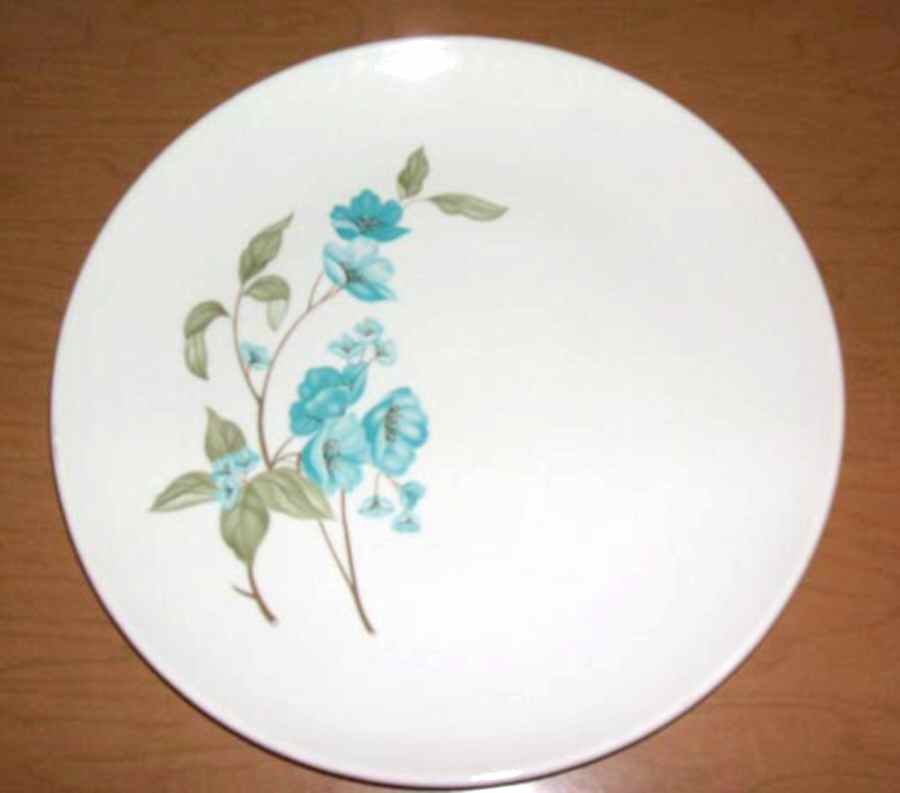 SAB95 Dinner Plate by Sabin-1