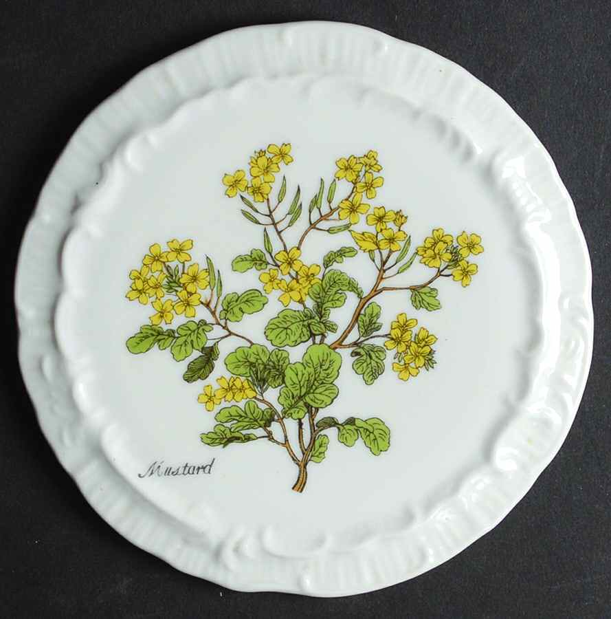 8487 Wall Plate by Sadek-1