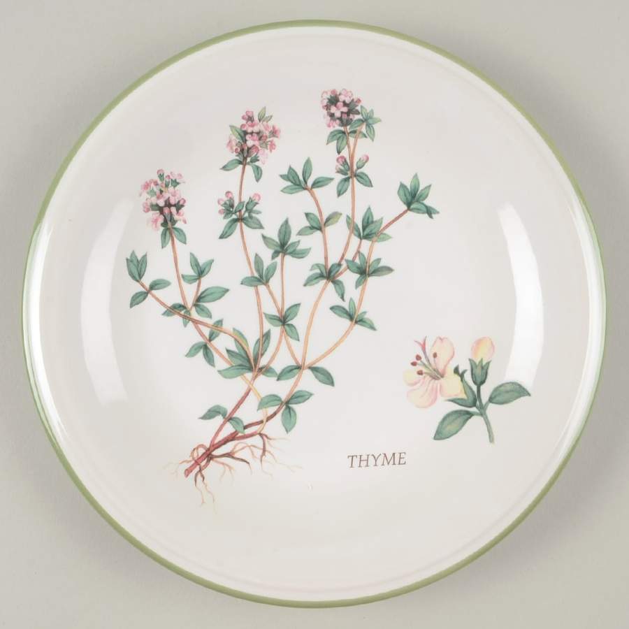 Herb Garden Salad Plate by Studio Nova-1