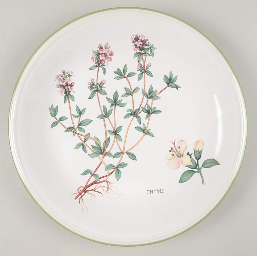 Herb Garden Dinner Plate by Studio Nova-1