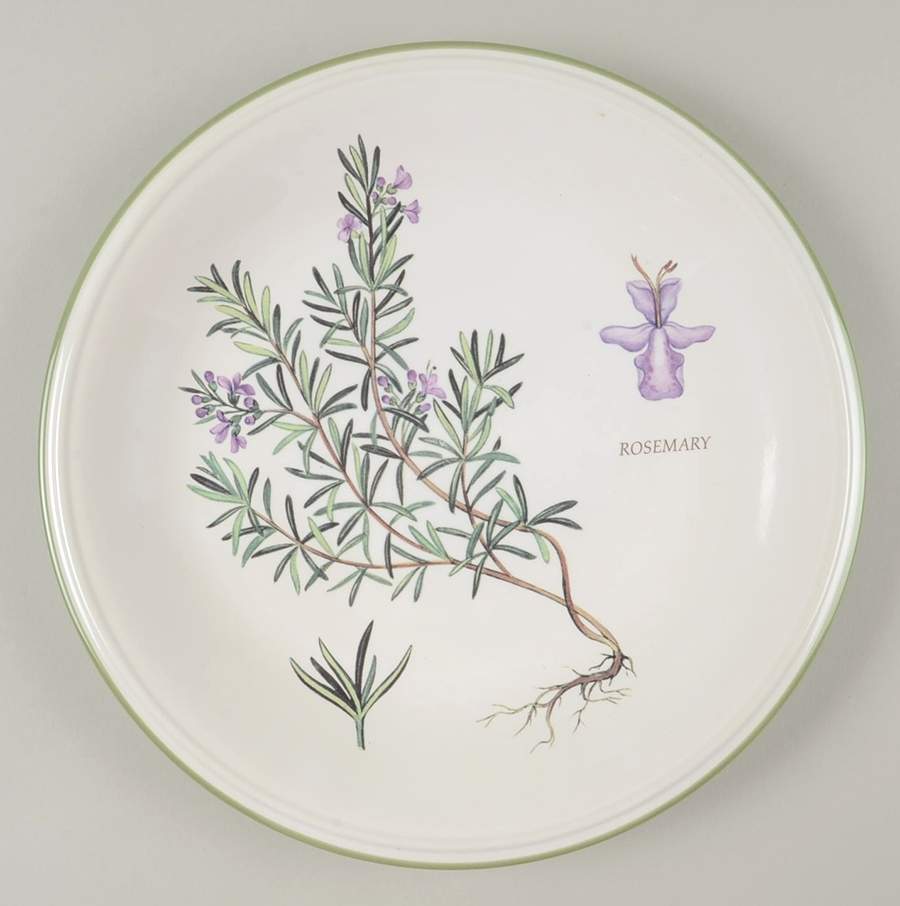Herb Garden Dinner Plate by Studio Nova-1