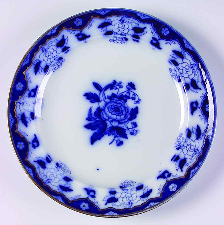 SP534 Dinner Plate by Spode-1