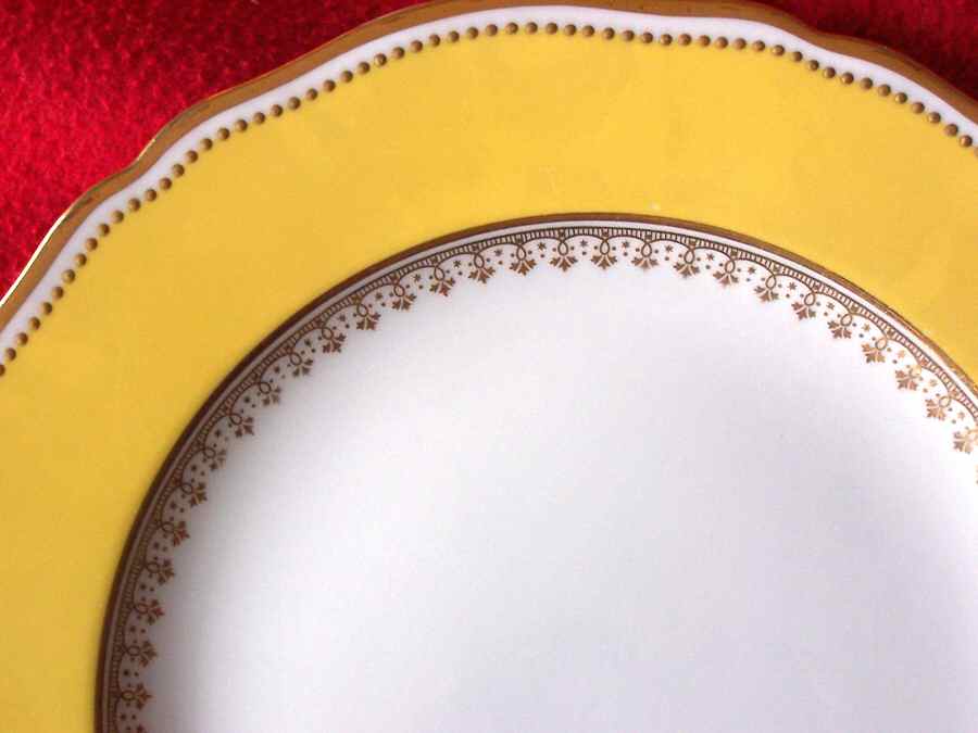 R2225 Dinner Plate by Spode-1
