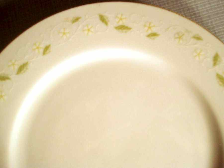 SEY32 Dinner Plate by Seyei Toki Co-1