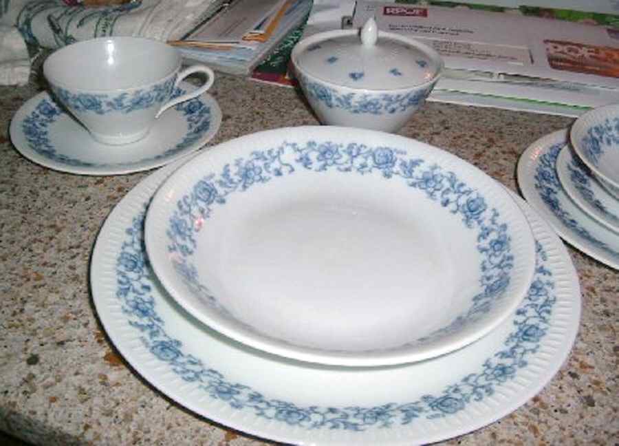 SCG83 Dinner Plate by Schirnding-1