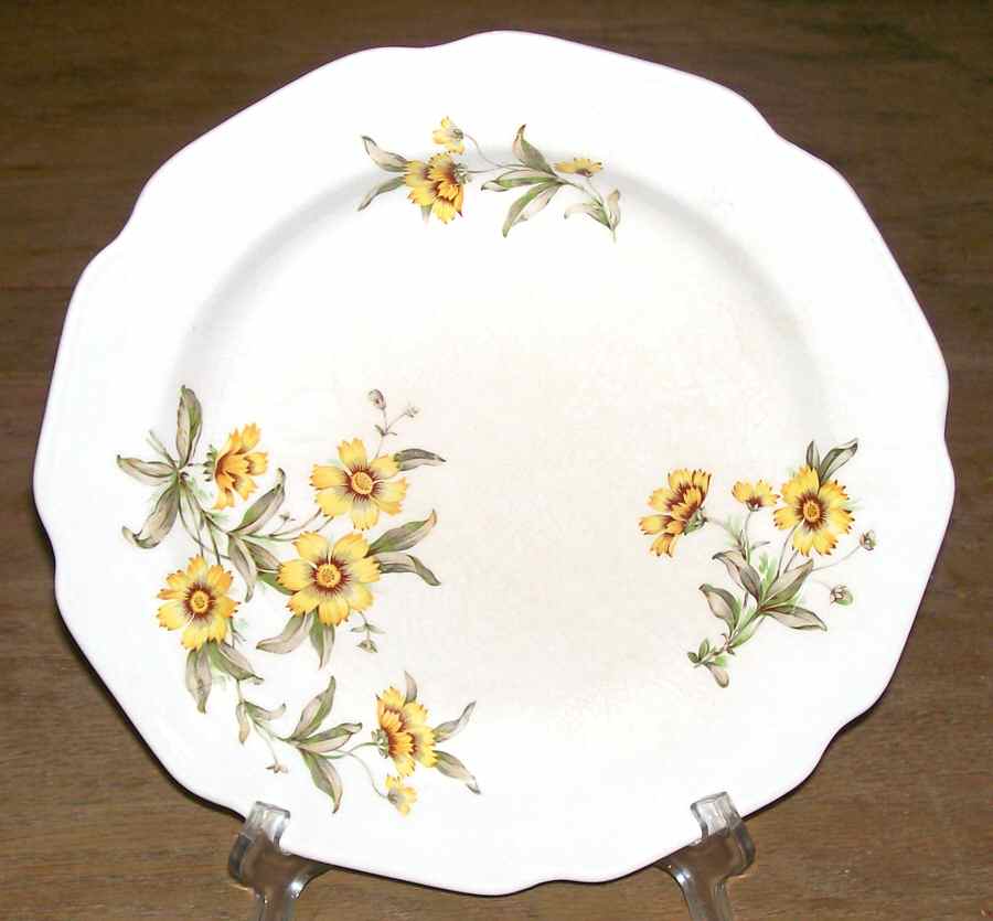 SAB99 Dinner Plate by Sabin-1