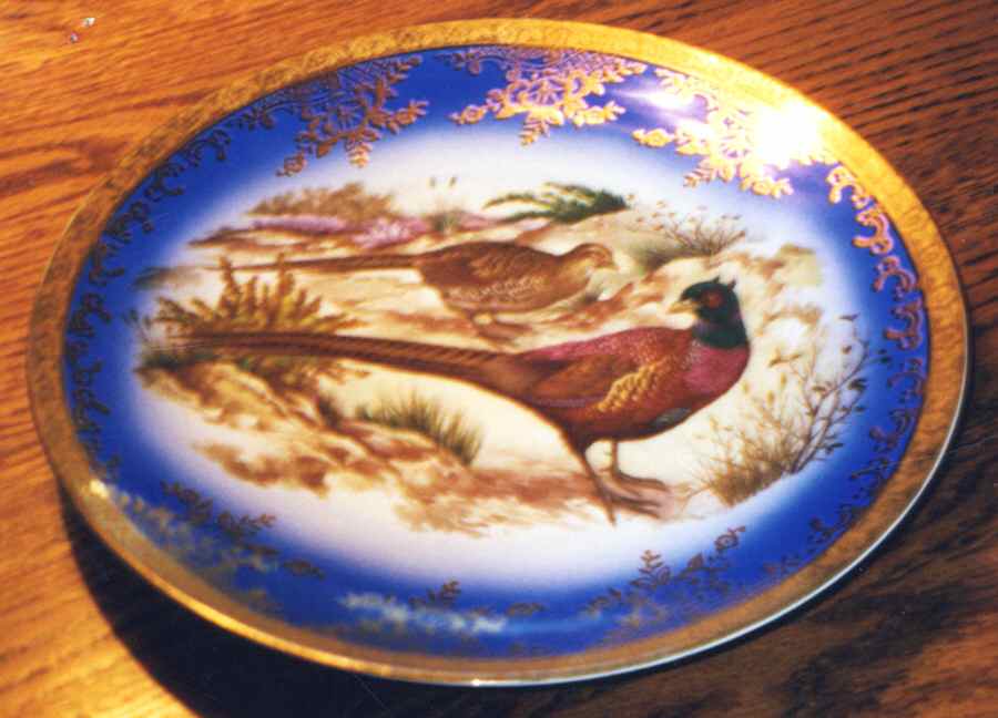 Svb9 Dinner Plate by STW (Bavaria)-1