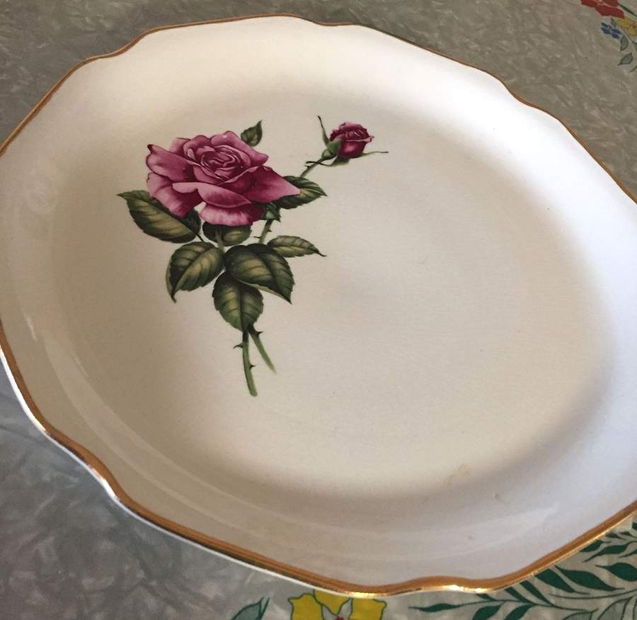 SAB101 Dinner Plate by Sabin-1