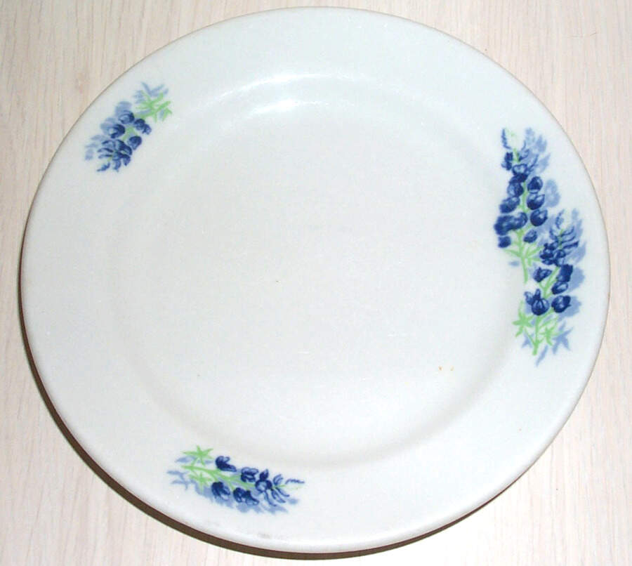 SHO317 Salad Plate by Shenango-1
