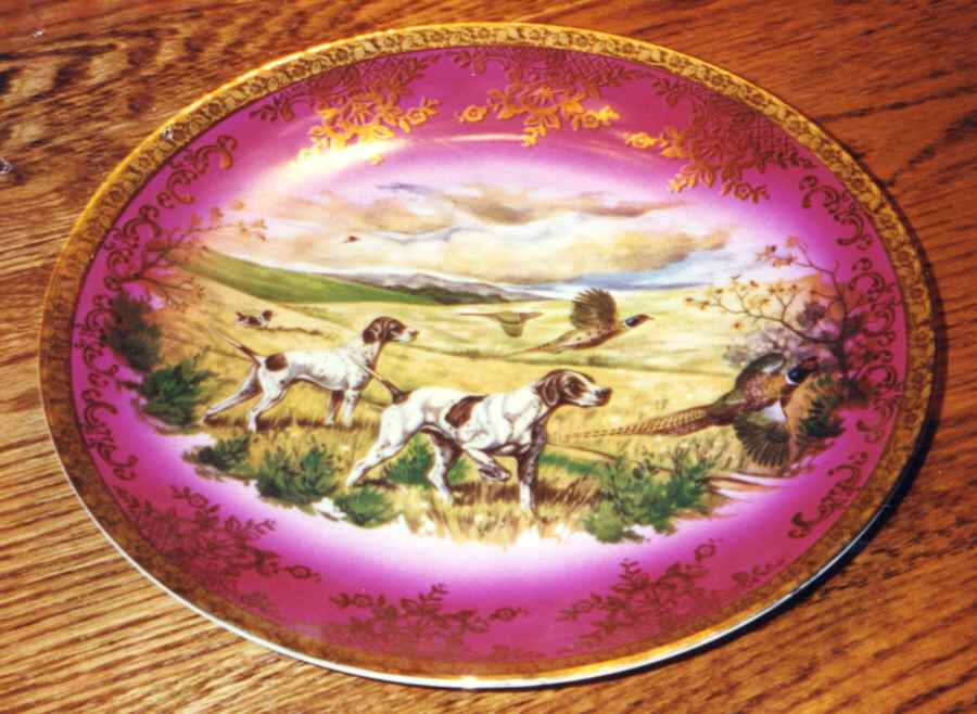 SBV10 Dinner Plate by STW (Bavaria)-1