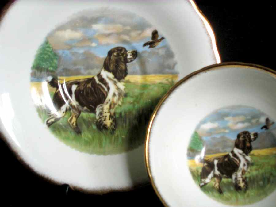 2111 Saucer by Salisbury-1