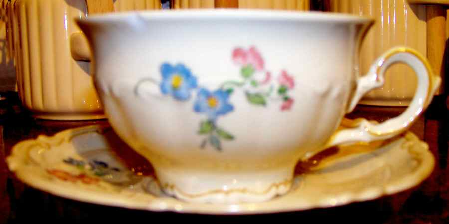 SWH50 Footed Cup & Saucer Set by Schwarzenhammer-1