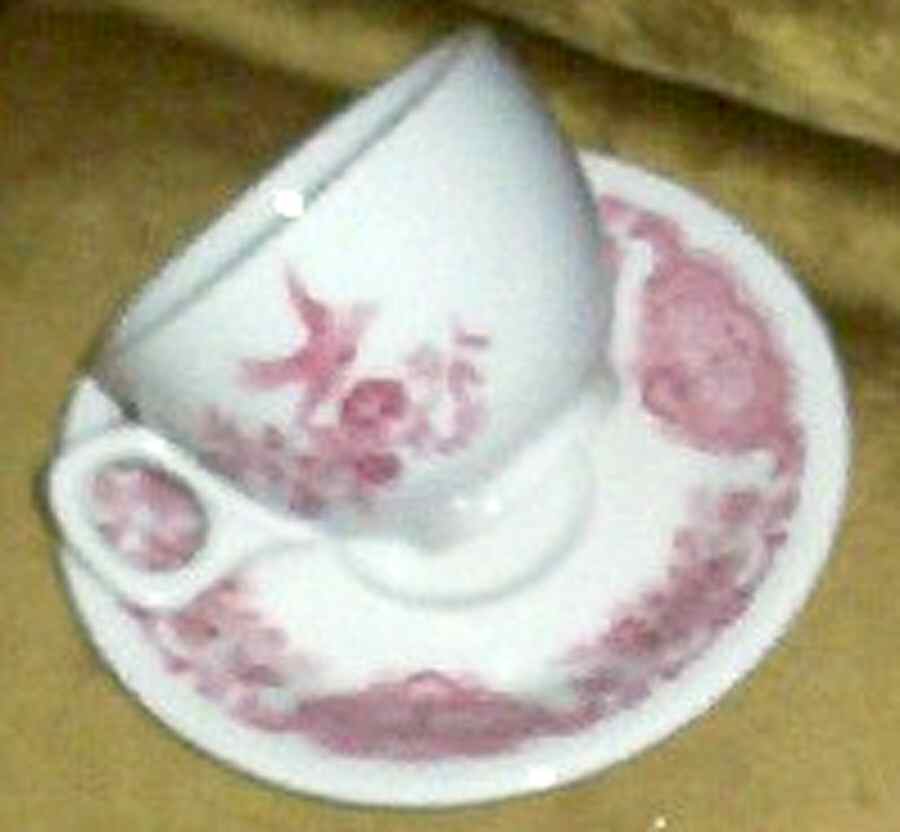 WINDSOR Flat Cup & Saucer Set by Steelite-1