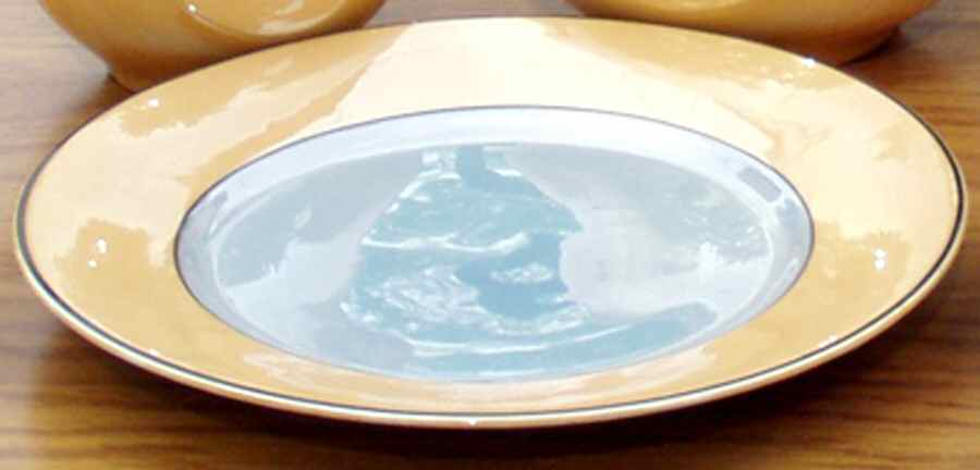 SCH593 Dinner Plate by Schumann - Bavaria-1