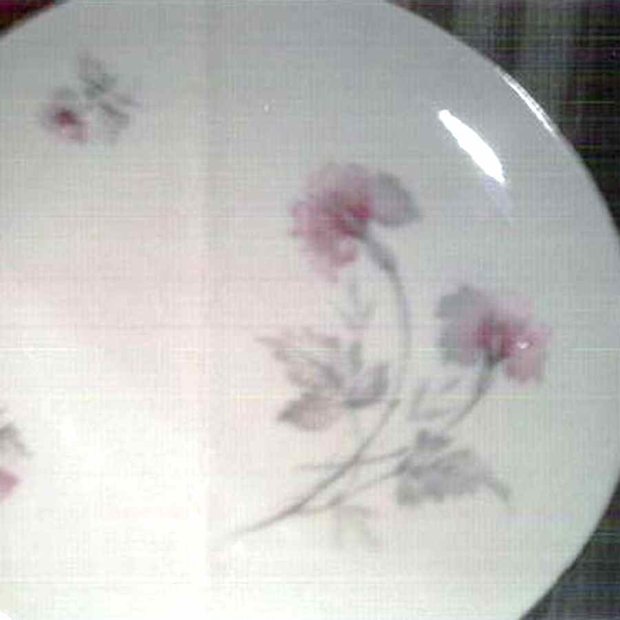 SCH594 Dinner Plate by Schumann - Bavaria-1