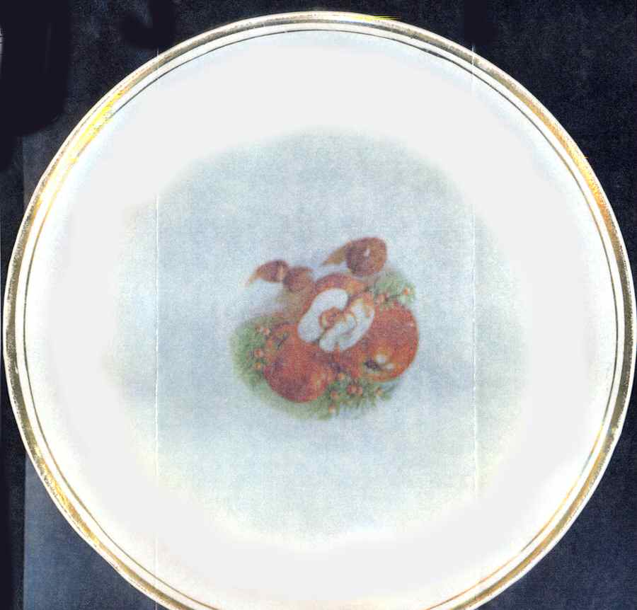 SX7 Salad Plate by Saxon-1