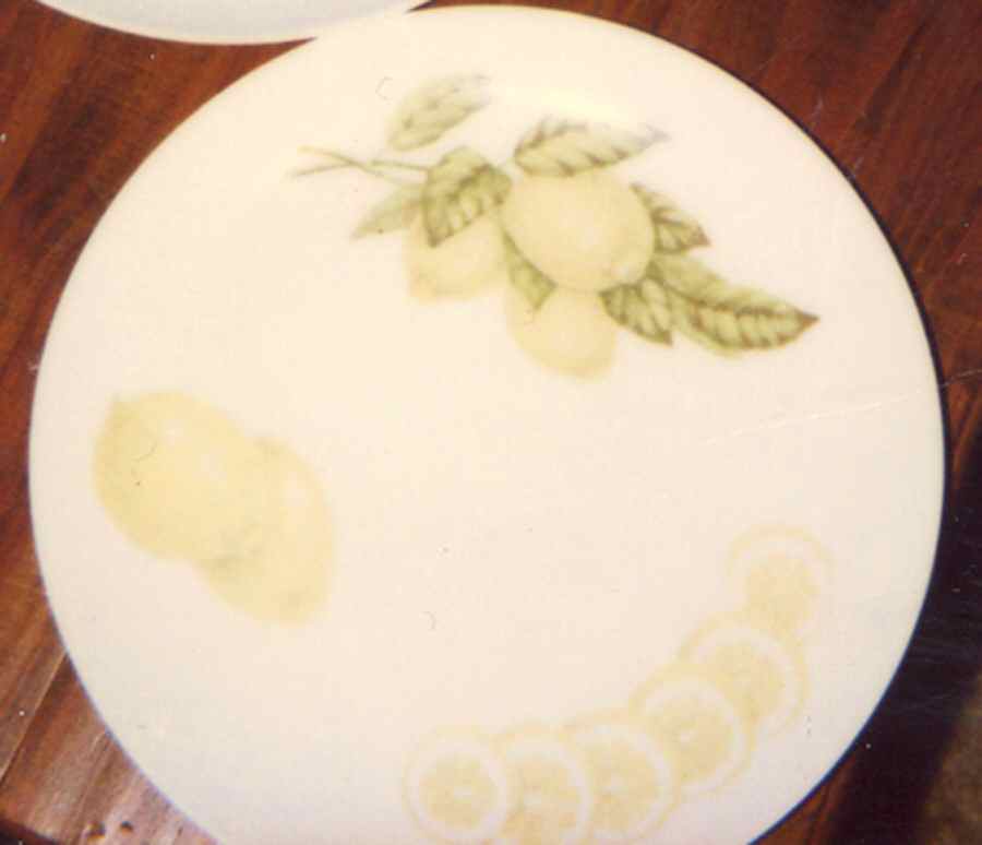 S3M1 Dinner Plate by Sma-1