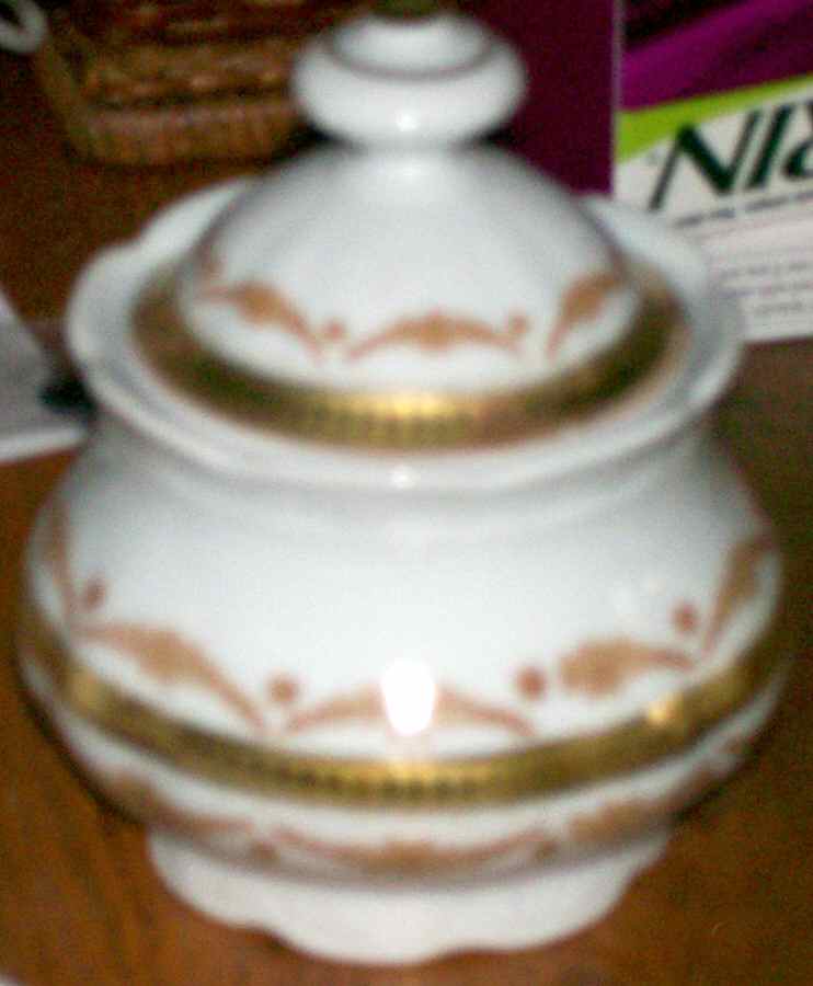 SLT383 Sugar Bowl & Lid by Seltmann-1