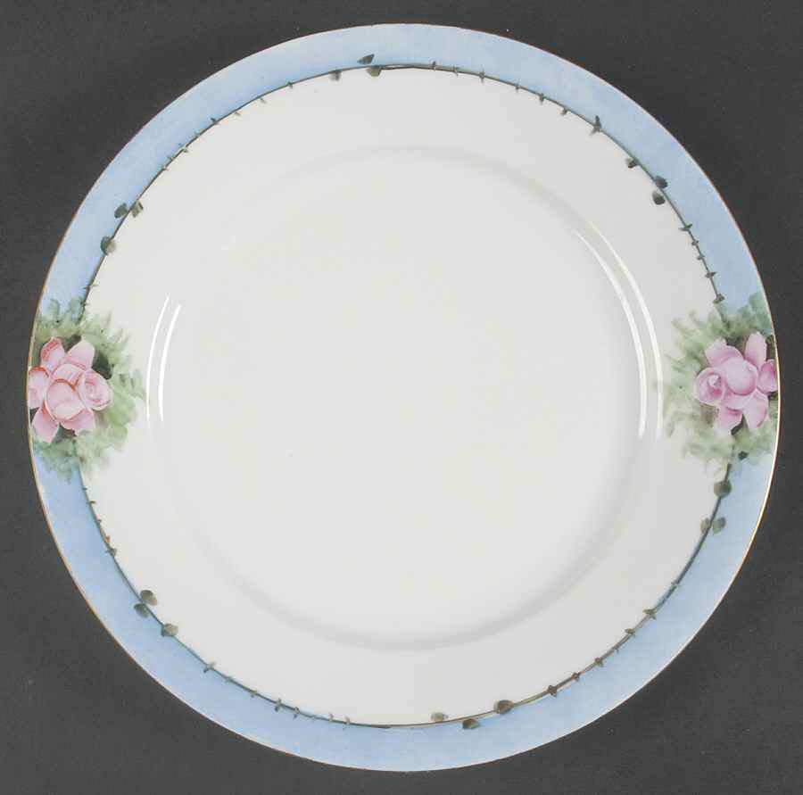 HCZ286 Dinner Plate by Haas-Czjzek Coronado-1