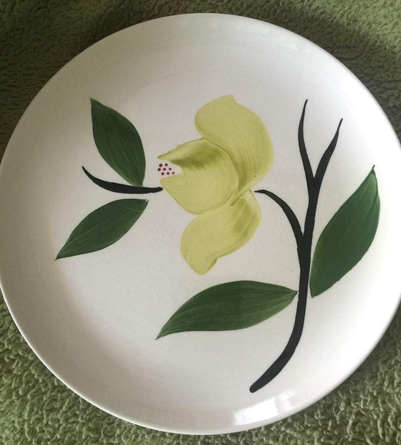 STT360 Dinner Plate by Stetson-1
