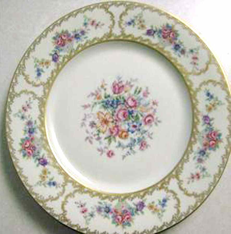 HCZ287 Dinner Plate by Haas-Czjzek Coronado-1