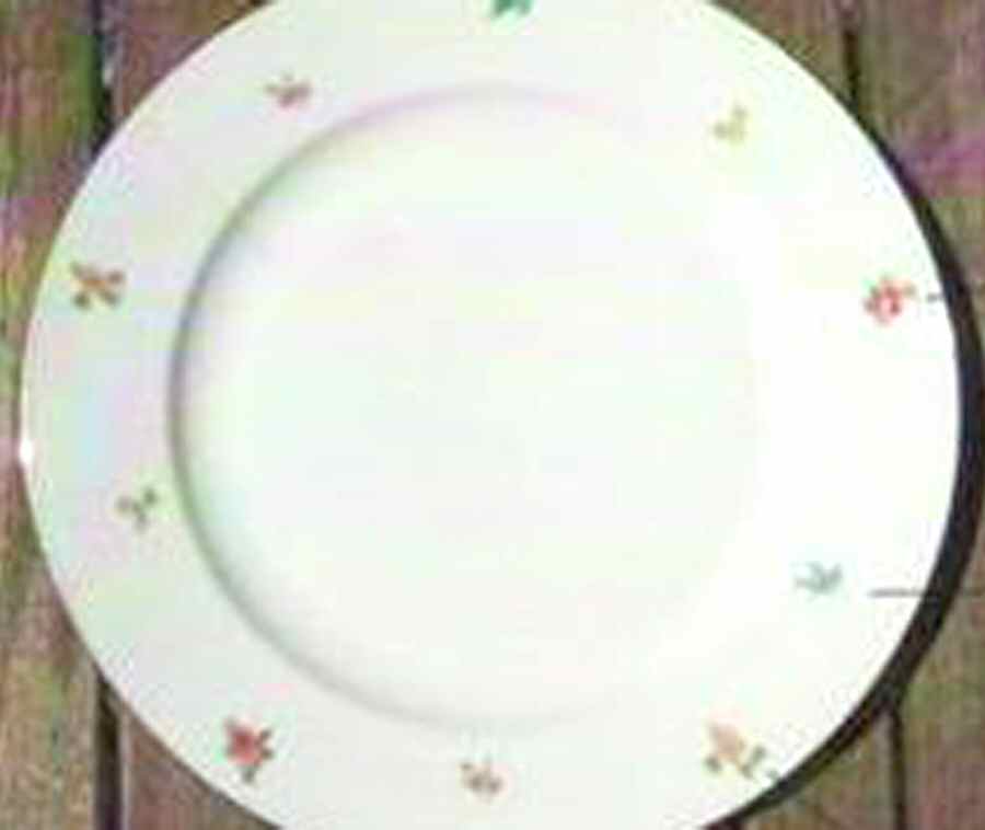 SLT387 Dinner Plate by Seltmann-1