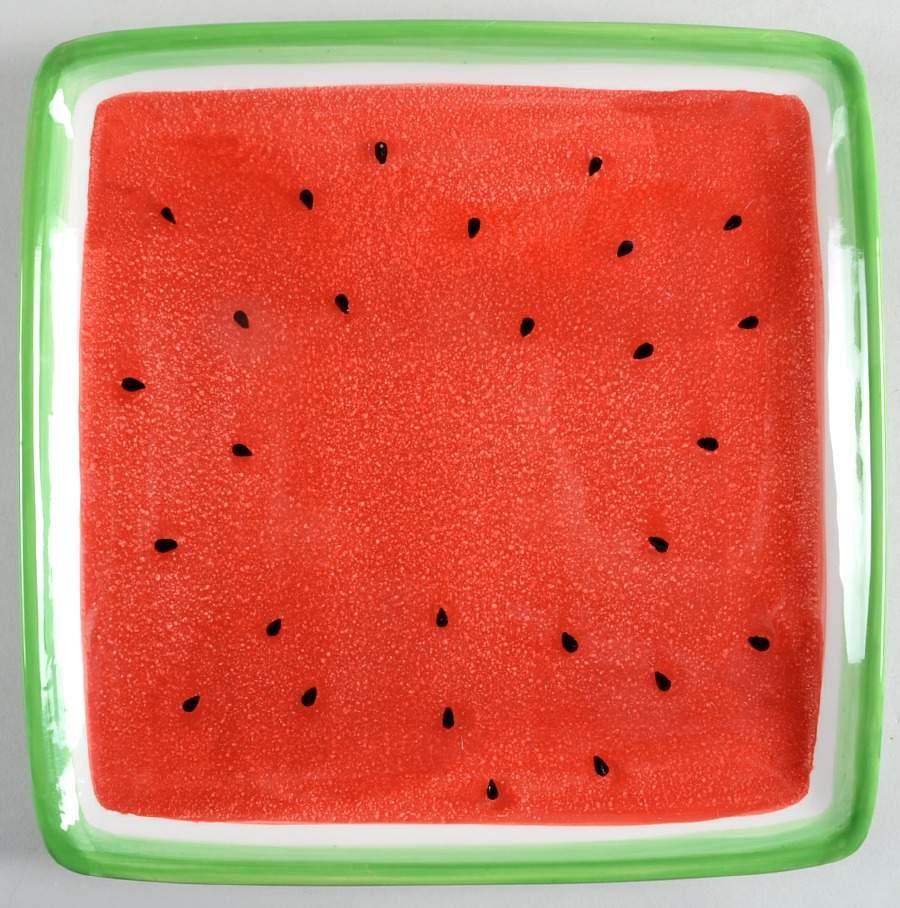 Watermelon Square Luncheon Plate by Sonoma Home-1
