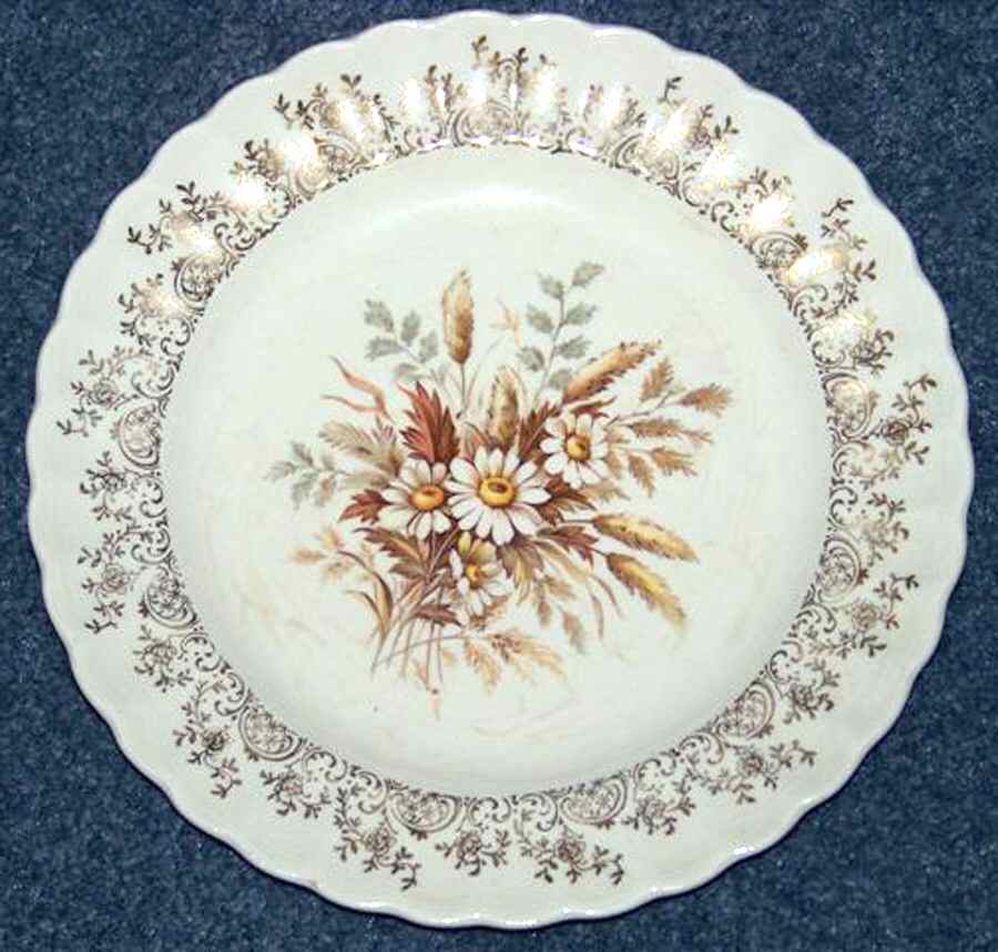 Sundale Dinner Plate by Sebring Pottery-1