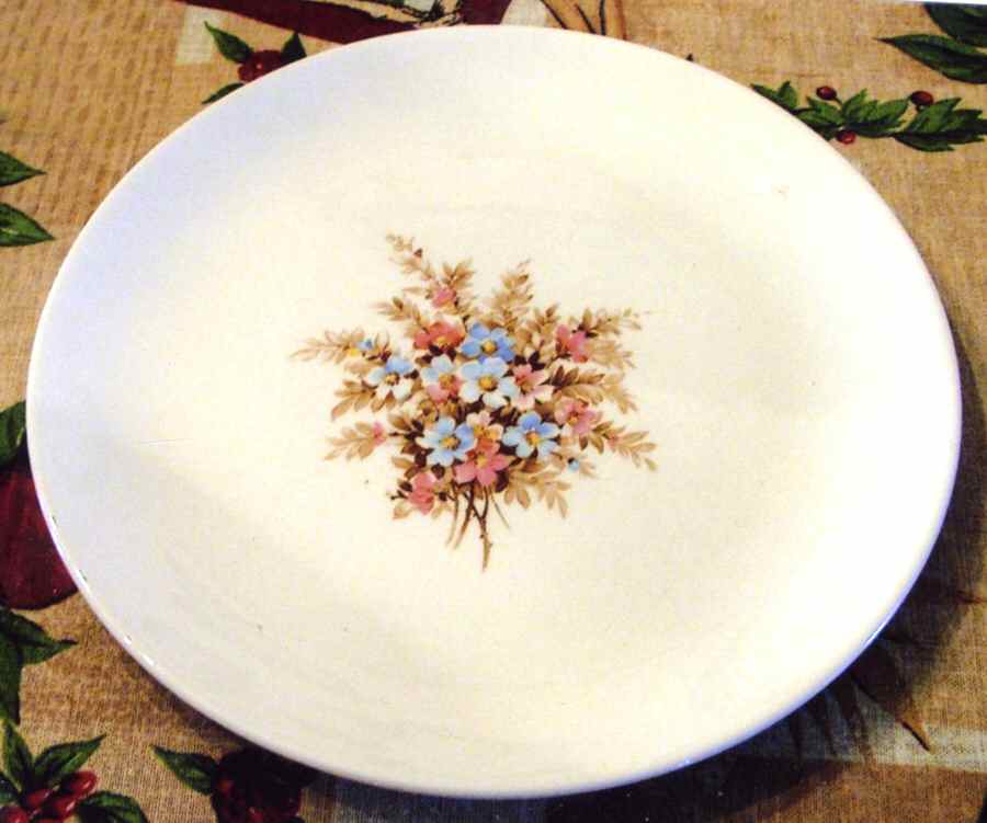 STB355 Dinner Plate by Steubenville-1